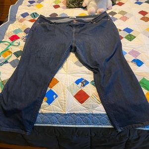 LOFT plus size jeans